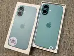 iPhone 16 ( Teal,256 GB )