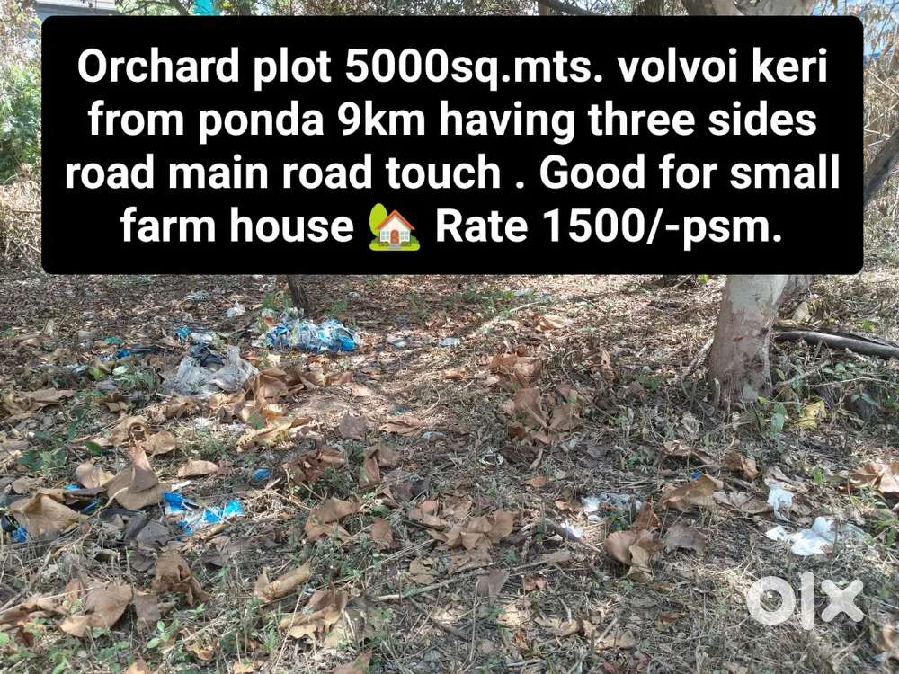 Orchard plot ponda