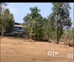 മുനിസിപ്പാലിറ്റി ഏരിയ പുതു രുത്തി 2.650  സെന്റ് സ്ഥലം 190000/രൂപക്ക്