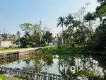 LAND YOUR DREAM HOME