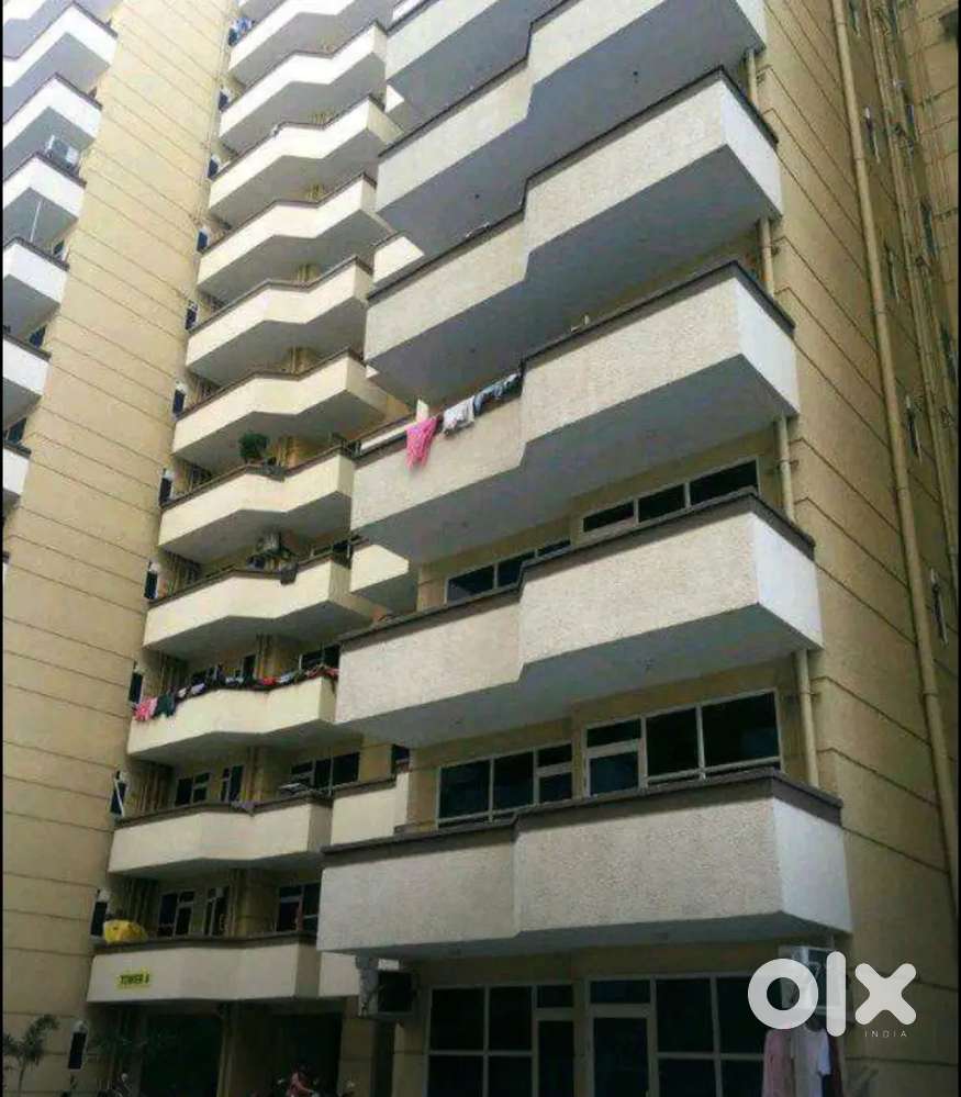 Need female room partner