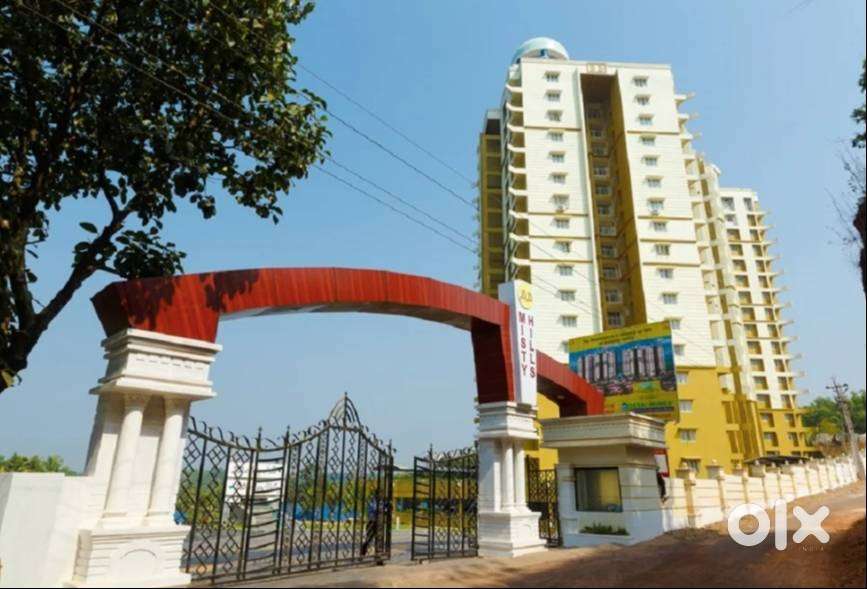 Need a lady cook for a family flat in millumpady, thrikkakara.