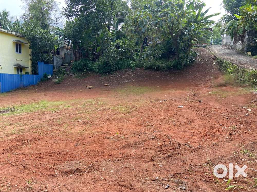 Prime Land for Sale in Neeravil, Kollam, starting from 3.5 Lakhs/ Cent