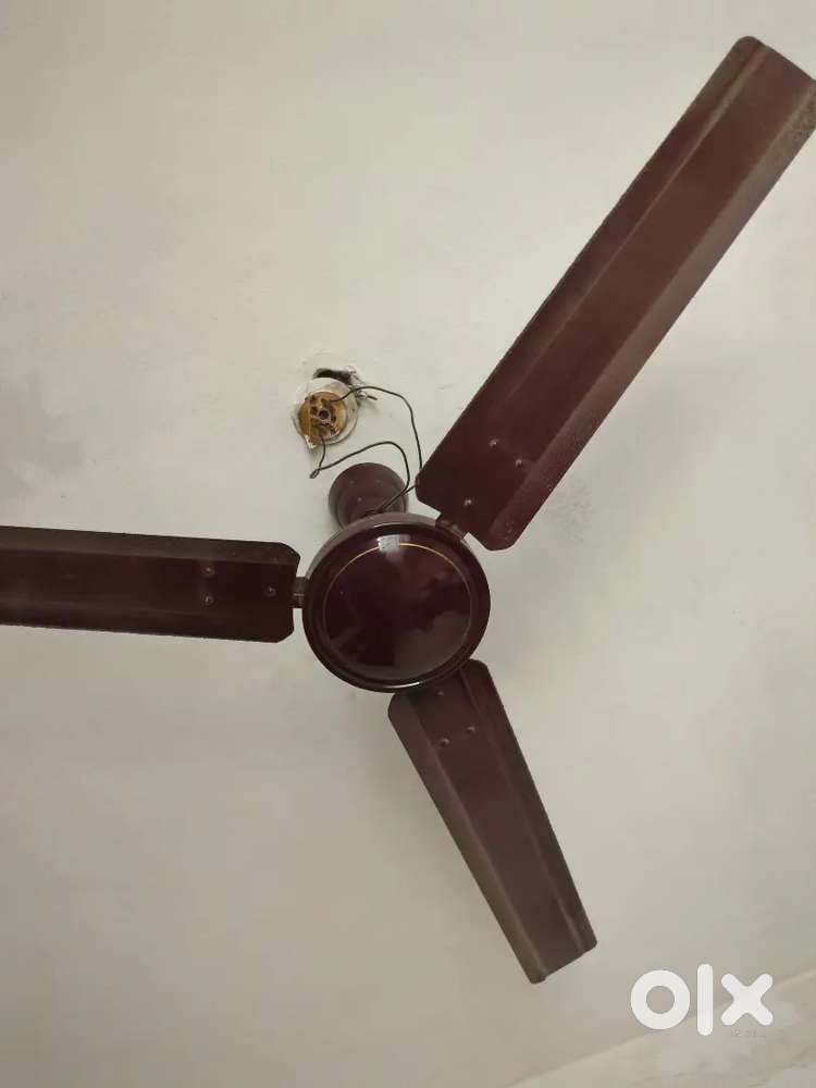 Celing Fan
