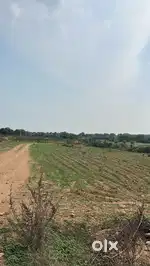 2+ acre farm land