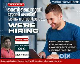 Accuracy based weekly payment || online data entry || work from home