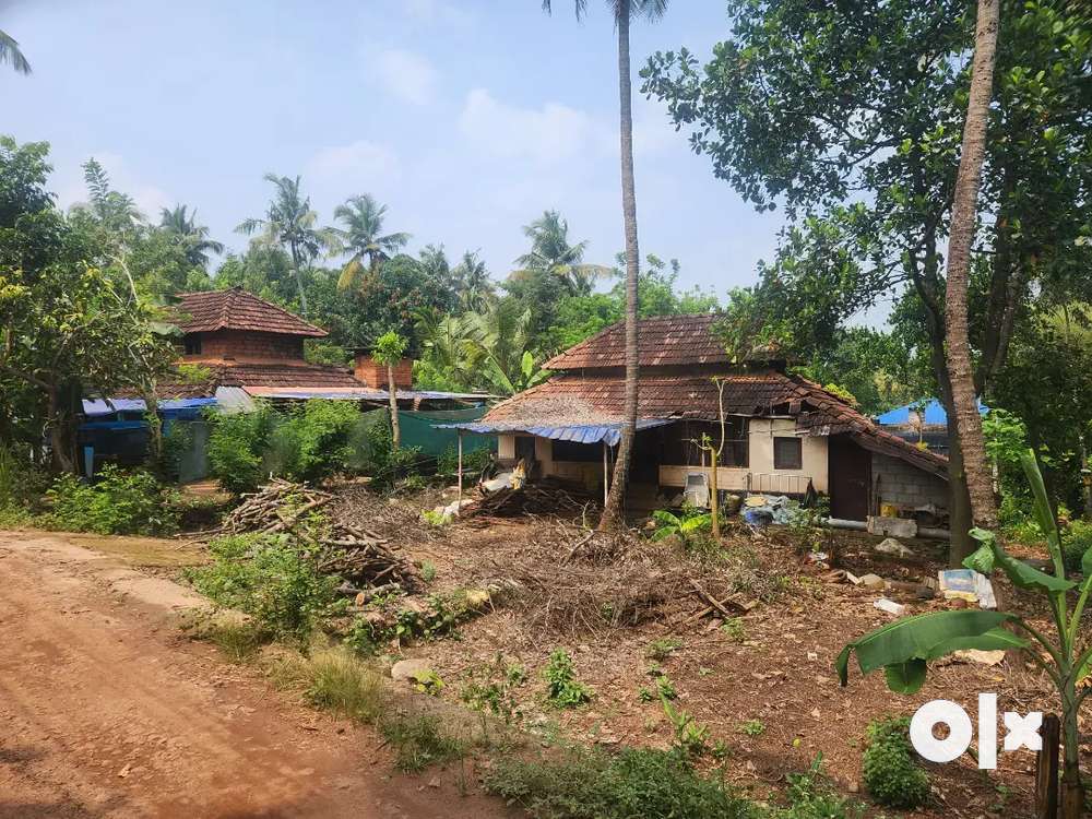 11.5 cent Residencial Land Ollur Thrissur
