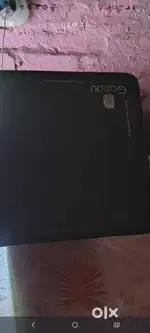 Gappu cajon