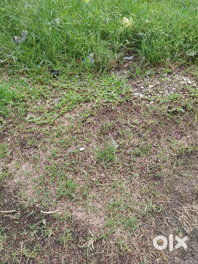 Thoppumpady. 10cent. Tipper Entry plot