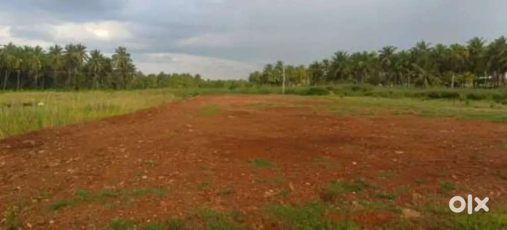 Land for rent