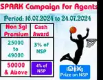 I need party time accountant job