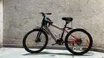 Electric cycle Voltic by Autonix