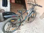 Roodeo bicycle