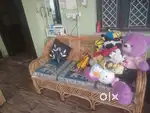 Canewood furniture