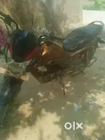 Honda livo