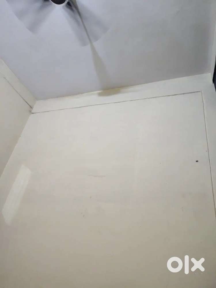 Flatmate required
