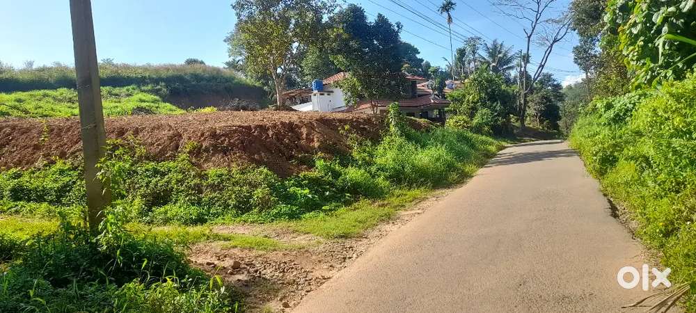 30 cent comercial or house plot