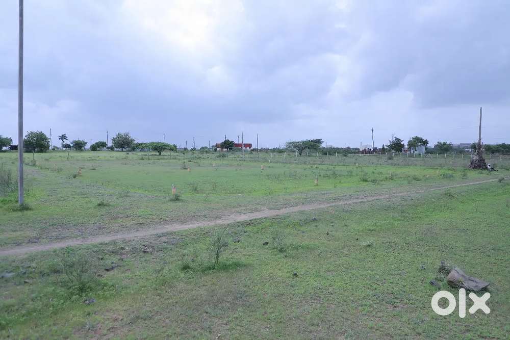 N.A Collector plot in KUMTE 3.5 km Solapur 1km S.P.M polytechnic cllg