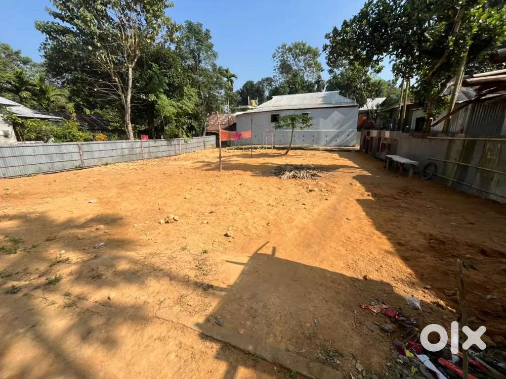 Aralia shantipara 4gonda jaiga sale