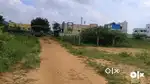 ஓலையூர் பாரி நகரில் DTCP வீட்டுமனைகள் விற்பனைக்கு