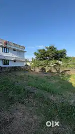 കുരീക്കാട്-എരുവേലി റോഡിൽ House Plots