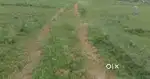 Land sale for parikalpattu,pondicherry