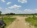 Nature’s Green – Plots Near Gauribidanur, Just ₹550/Sqft