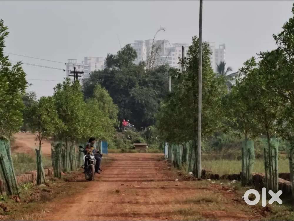 Plot for sale hanspal,banguari