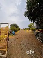Farmhouse Plots of sizes 5500 - 6000 sqft Available