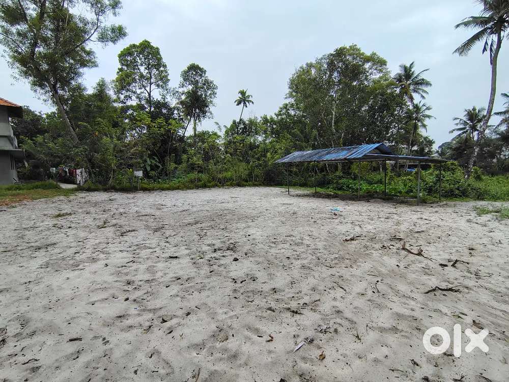 7, 15 Cents  house plot near Alpha School Pathirapally