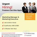 Marketing Manager / Executive