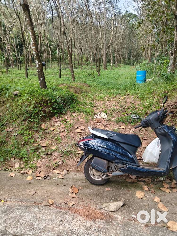 50 cent plot for sale as whole or as smaller plots