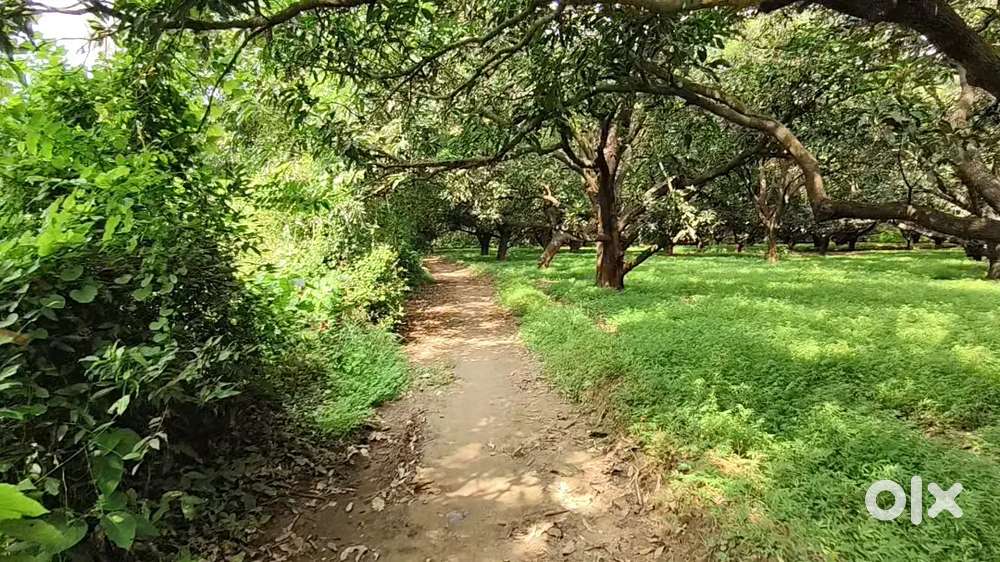 फार्म हाउस बनाने के लिए आदर्श जमीन – रोड किनारे उपलब्ध हैं