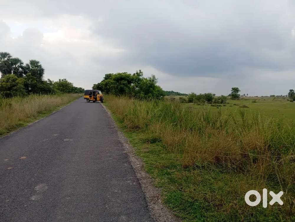 My land immediate sale