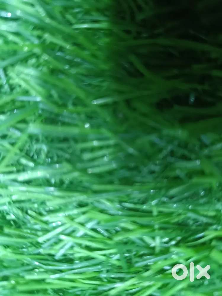 To let One room set Near old bas stand