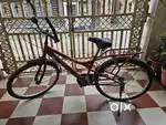 AVON KINE CYCLE