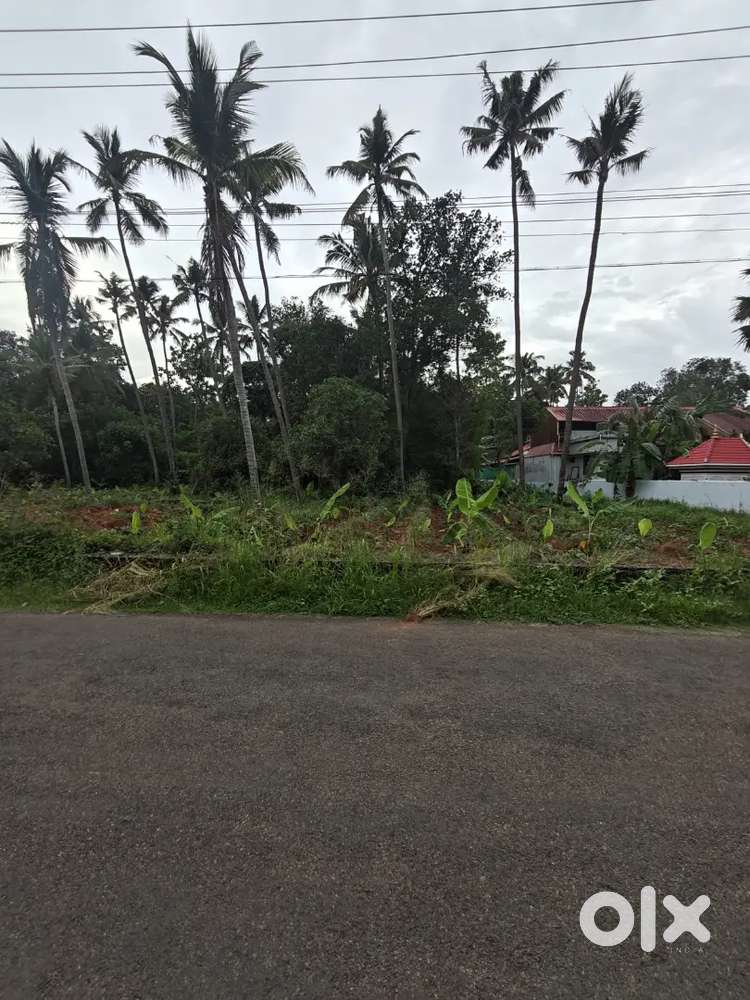 43 CENT PLOT FOR SALE NEAR ASHTAMICHIRA