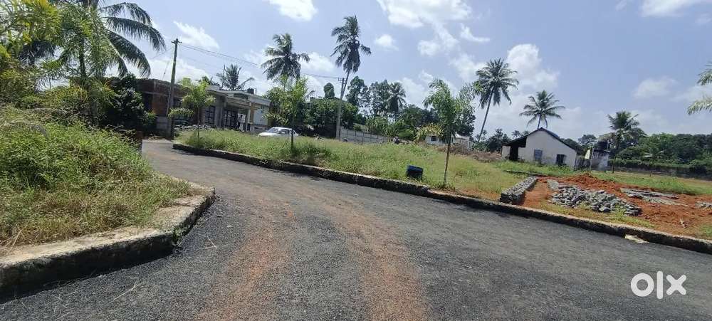 Residential Plots Near Angamaly,Thuravoor Jn (500m) – 4, 5, 8, 10 Cent