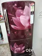 Samsung, single door fridge.
