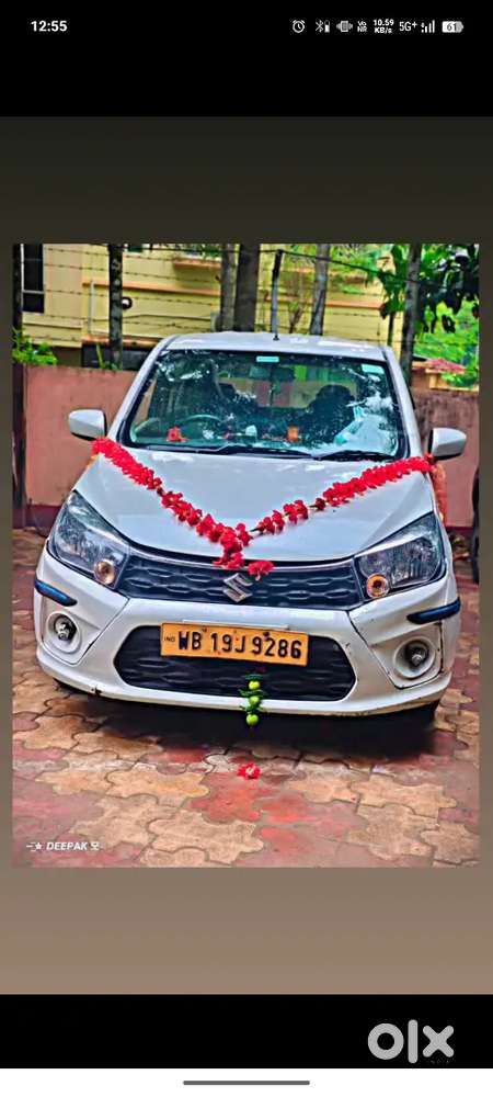 Maruti Suzuki Celerio 2019 Petrol Well Maintained