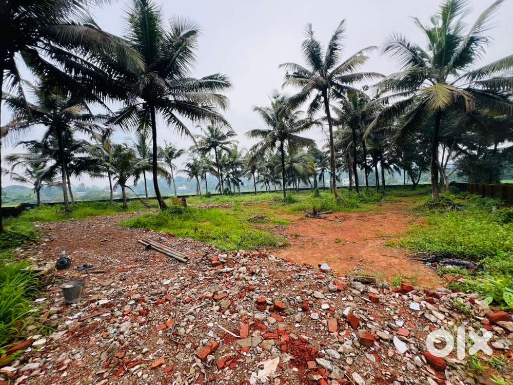 Aluva near uc college house plot 4,5,10cent cent 3.50lakh