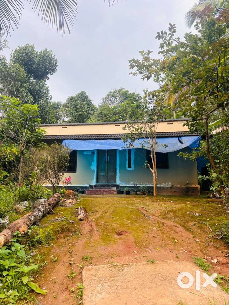 സുൽത്താൻ ബത്തേരി ,ചുള്ളിയോട് 20 ലക്ഷം രൂപയ്ക്കു 3BHK വീട് വില്പനക്ക്