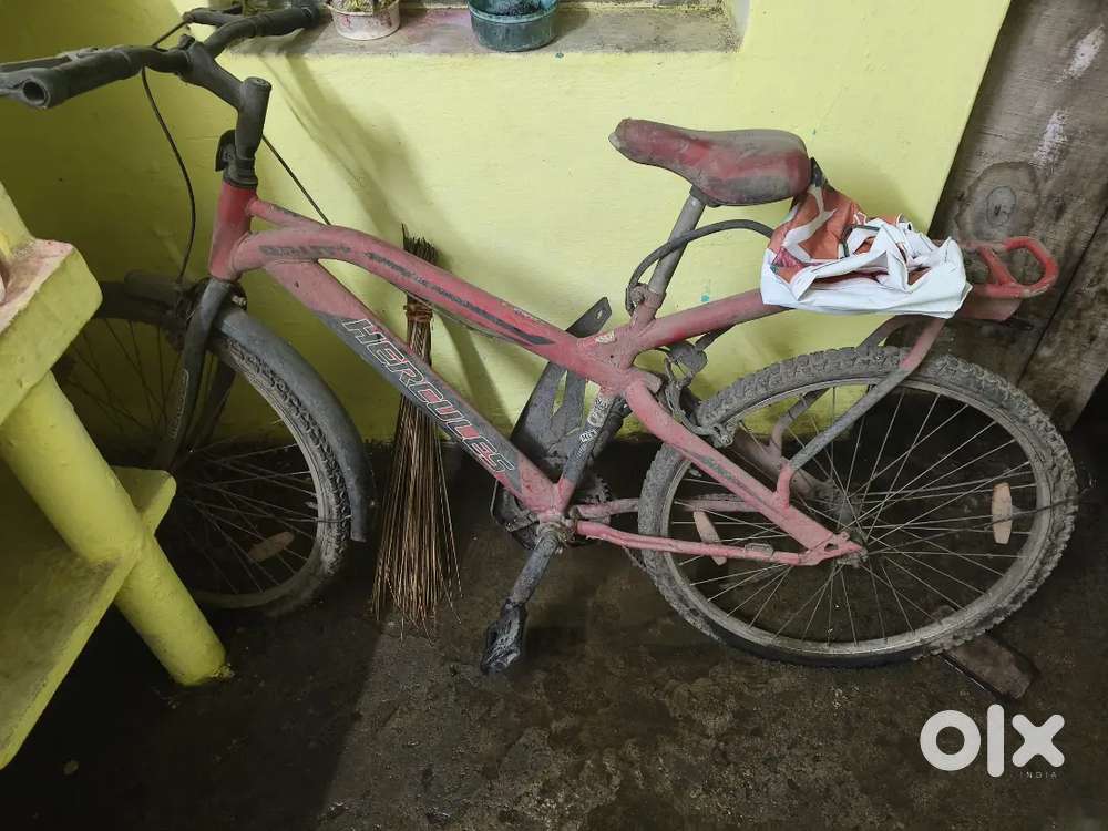 MTB Brut plus RF 24t sport cycle