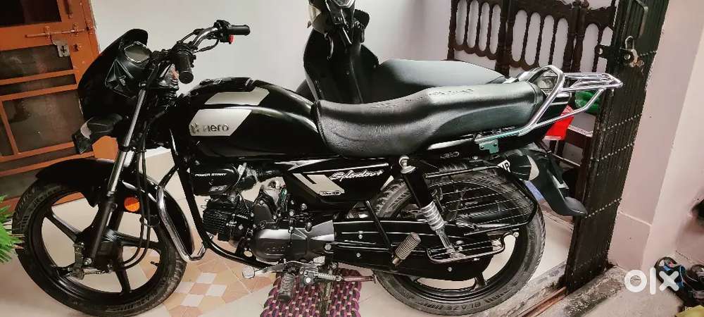 Single and 2 years 4 month old