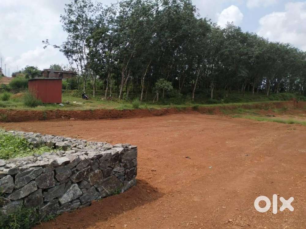 Tarred road frontage, natural water from well, KSEB line in front