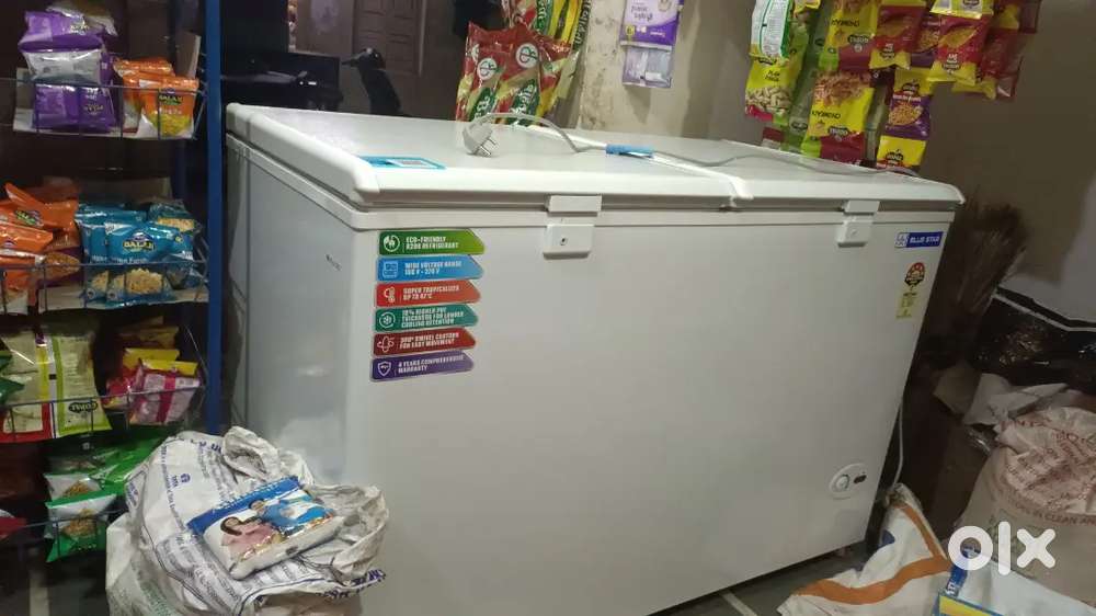 Bluestar deep freezer