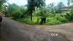 കാണക്കാരിൽ 30സെന്റ്
