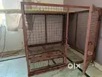 Big size dog cage