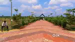 COVAI TO POLLACHI HIGHWAY NEAR BEAUTIFUL FRUIT TREES FARM LAND