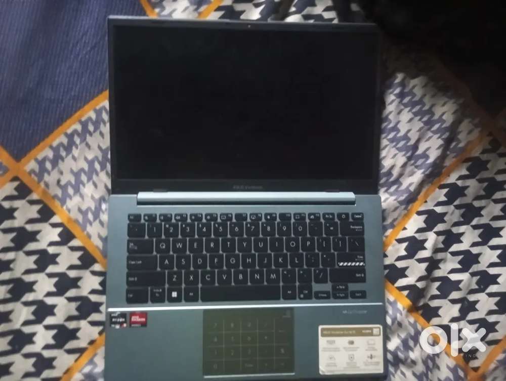 Asus Vivobook Go 14/15